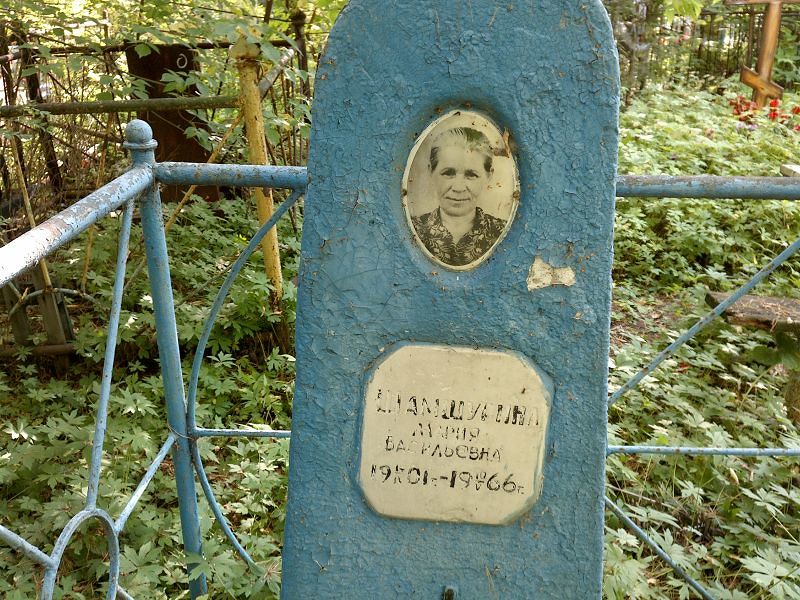 Шамшурина