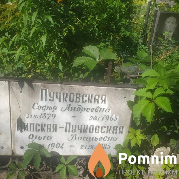 Пучковская София Андреевна