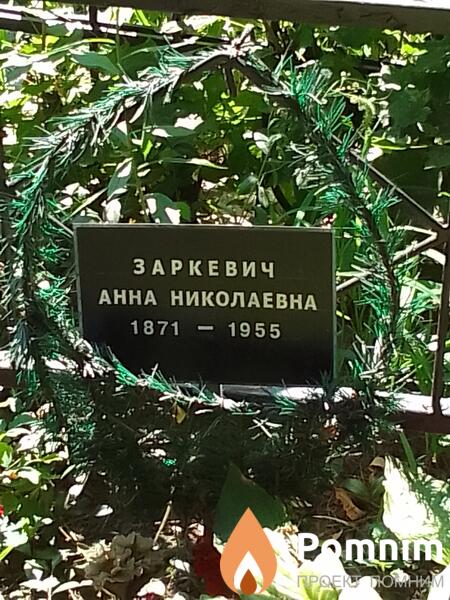 Заркевич Анна Николаевна