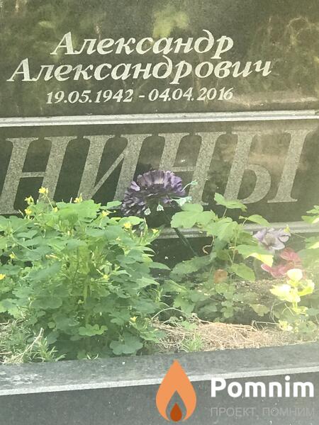 Воронины Александр Александрович