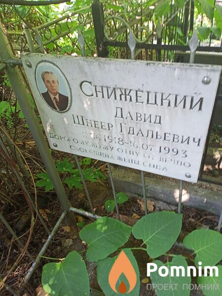 Снижецкий Давид