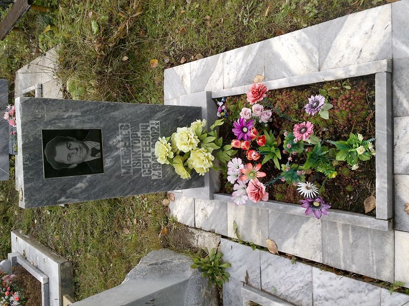 Медведев