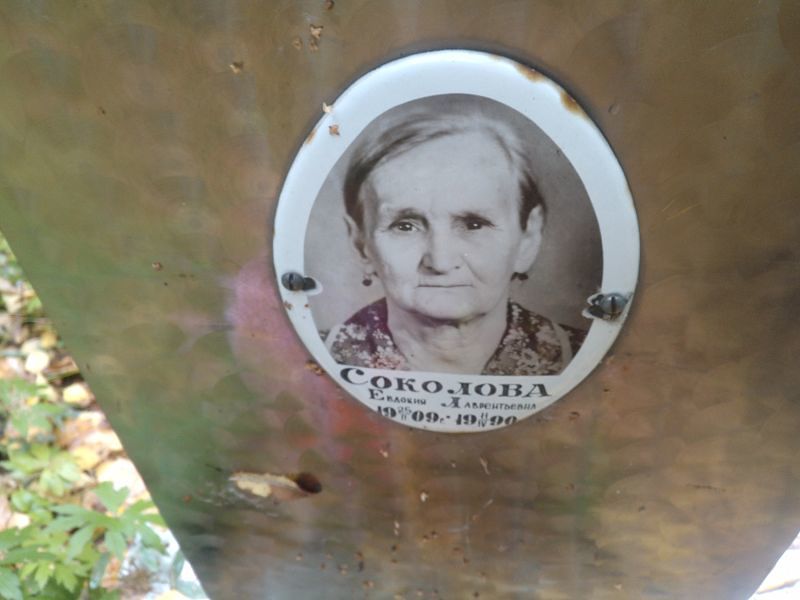 Соколова