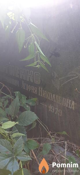 Огиенко Агафия Николаевна
