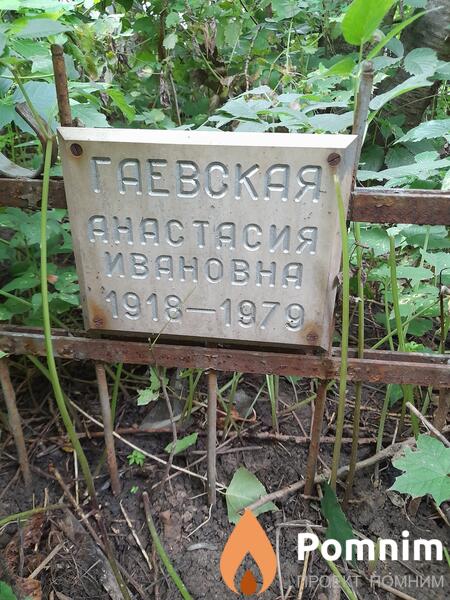 Гаевская Анастасия Ивановна