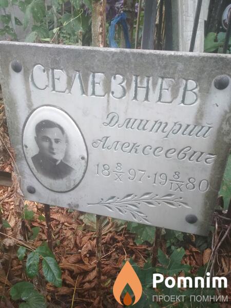 Селезнев Дмитрий Алексеевич