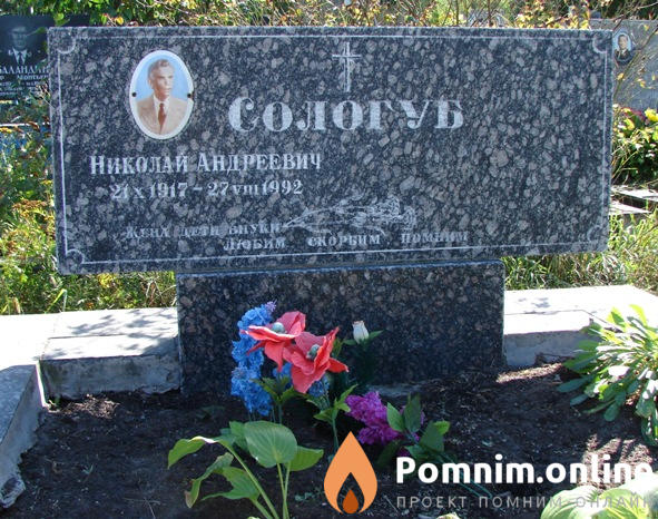 Сологуб Николай Андреевич