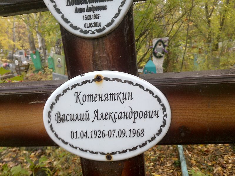 Котеняткин