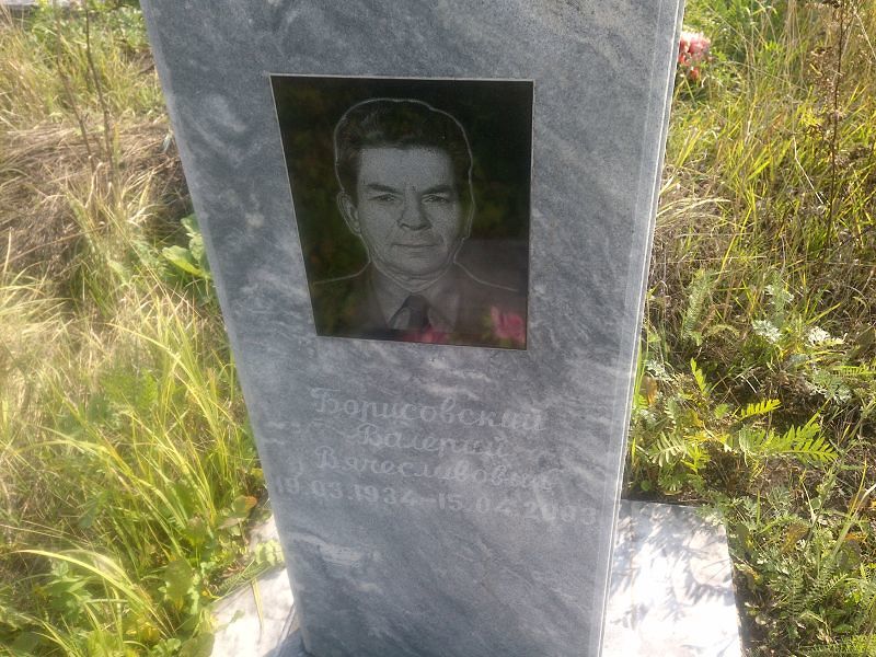 Борисовский