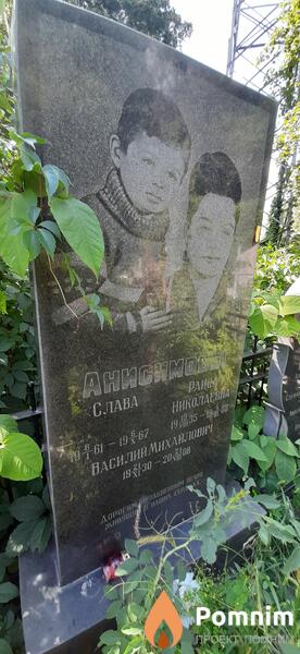 Внисимова Раиса Николаевна