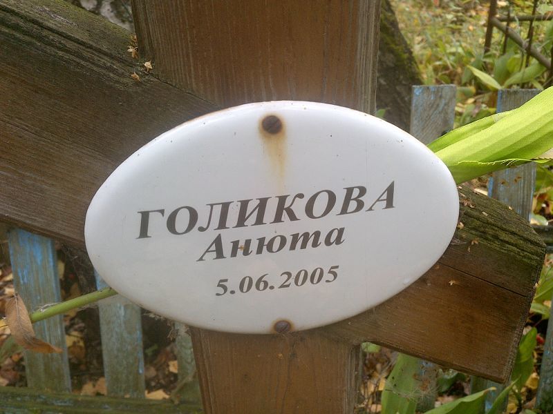 Голикова Голикова