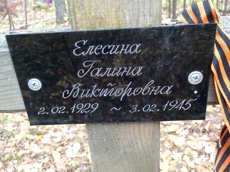 Елесина