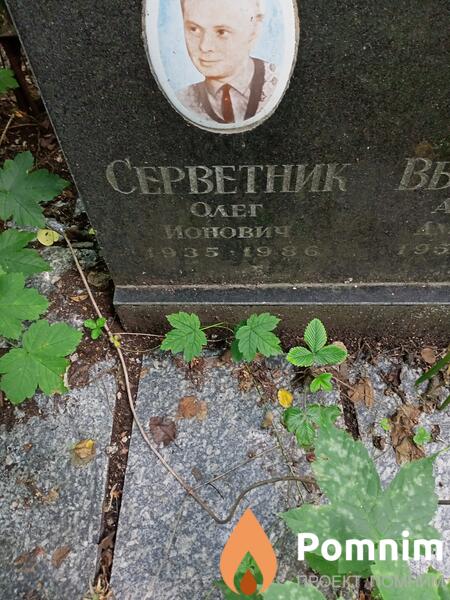Серветник Олег Ионович