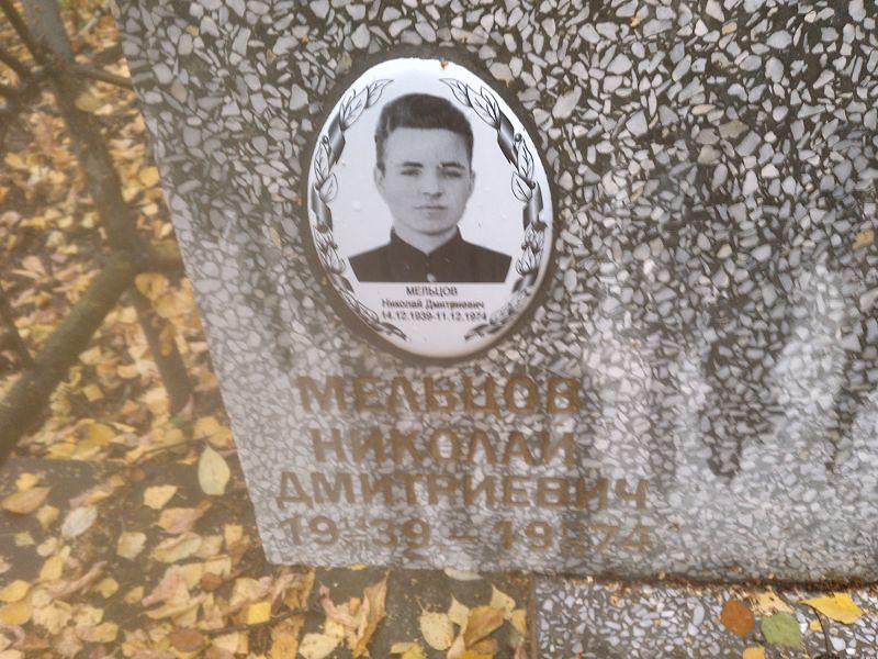 Мельцов