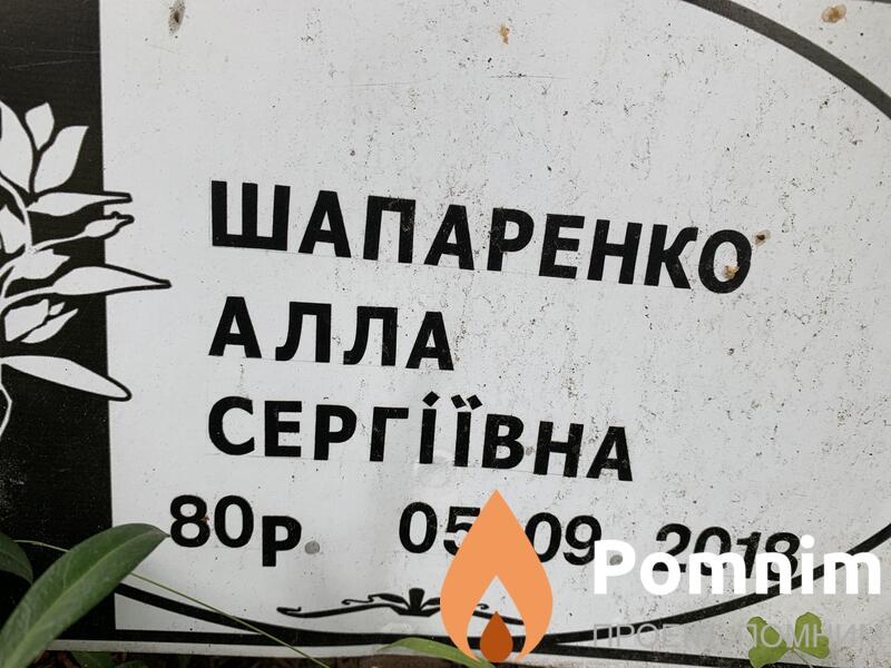 Шапаренко Алла Сергеевна
