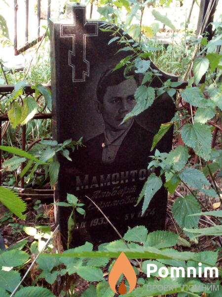 Мамонтов Альберт Ефимович