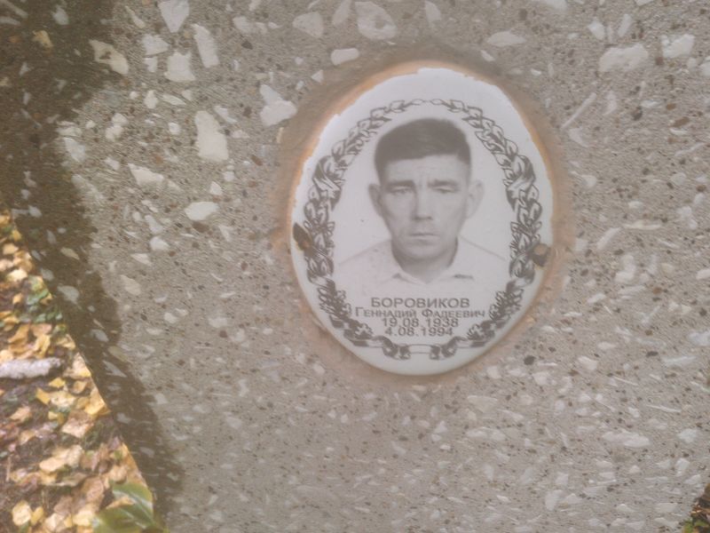 Боровиков