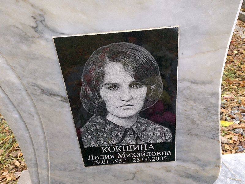 Кокшина