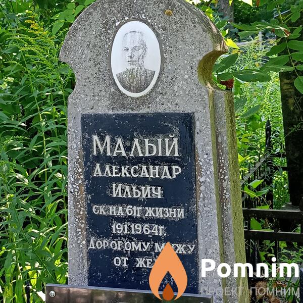 Малый Александр Ильич