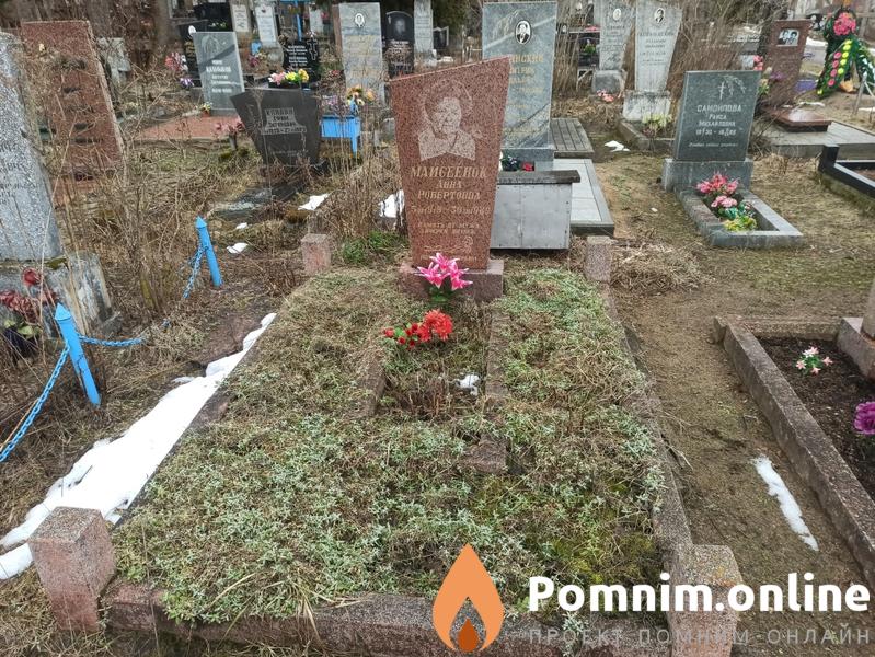 Майсеёнок Анна Робертовна