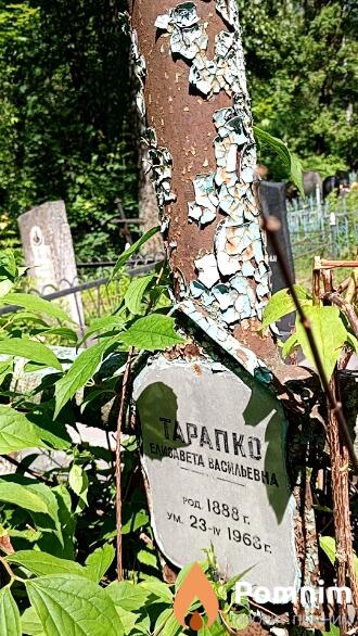 Тарапко Елисавета Васильевна