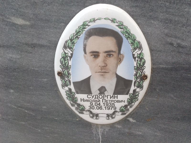 Судоргин
