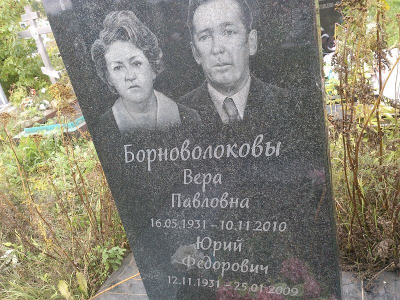Борноволоков