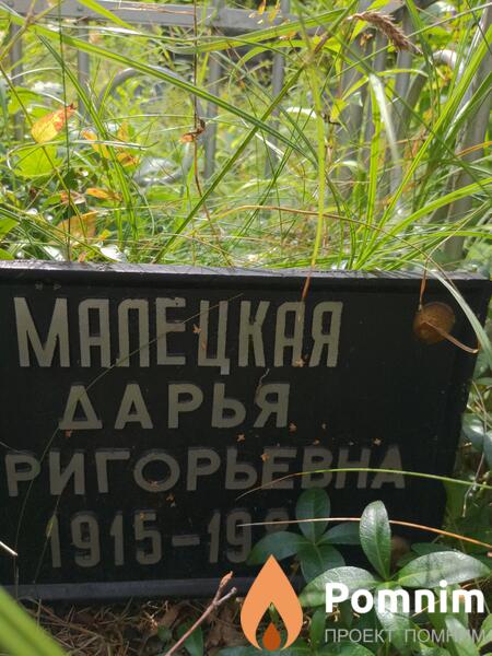 Малецкая Дарья Григорьевна
