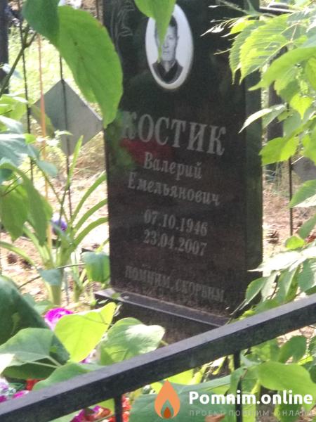 Костик Валерий Емельянович