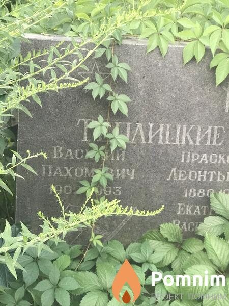 Теплицкий Василий Паханович