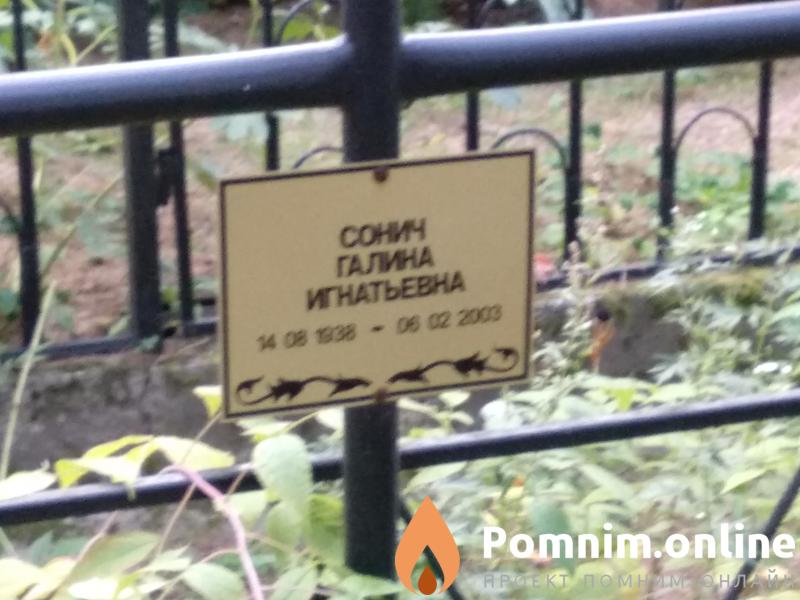 Сонич Галина Игнатьевна