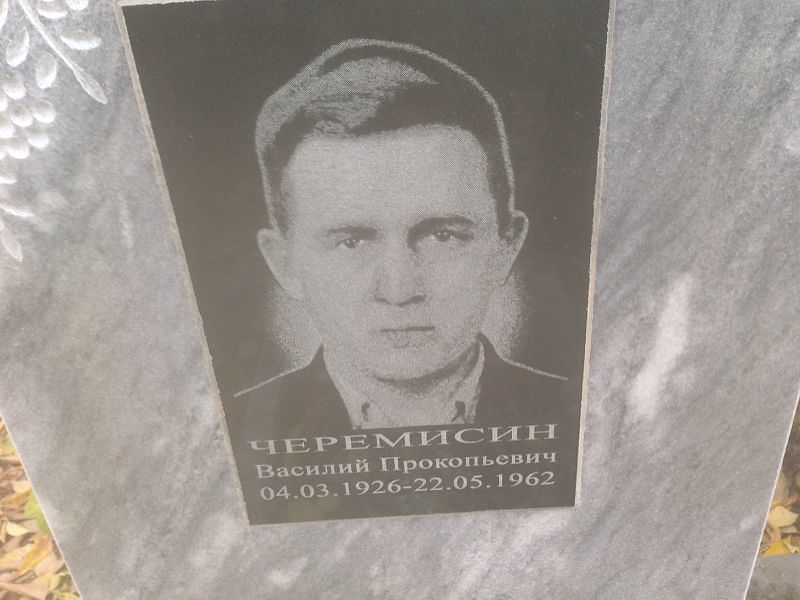 Черемисин