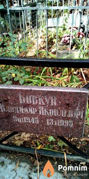 Бовкун Владимир Яковлевич