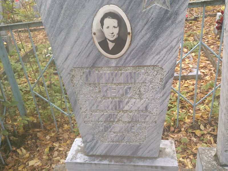 Шишкина