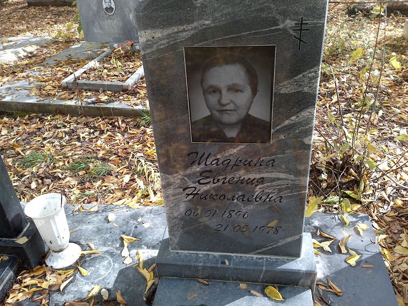 Шадрина Евгения Николаевна