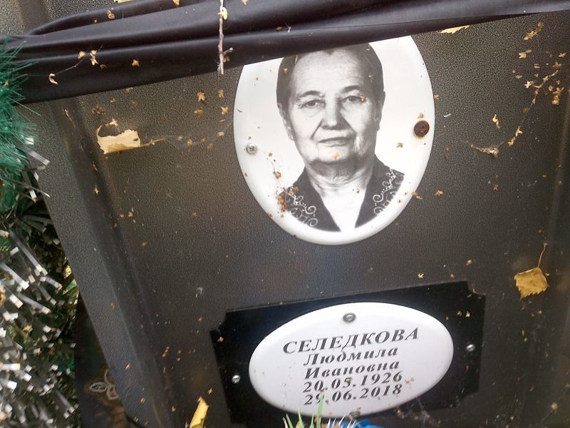 Селедкова