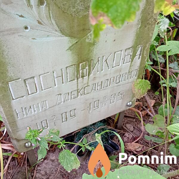 Сосновикова Нина Александровна