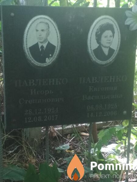 Павленко Игорь Степанович