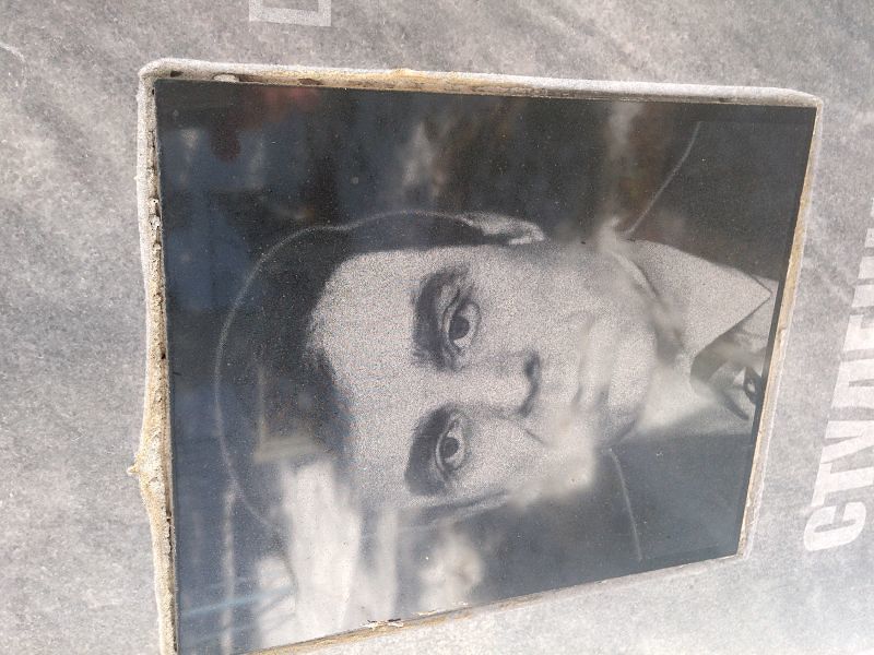 Студеникин