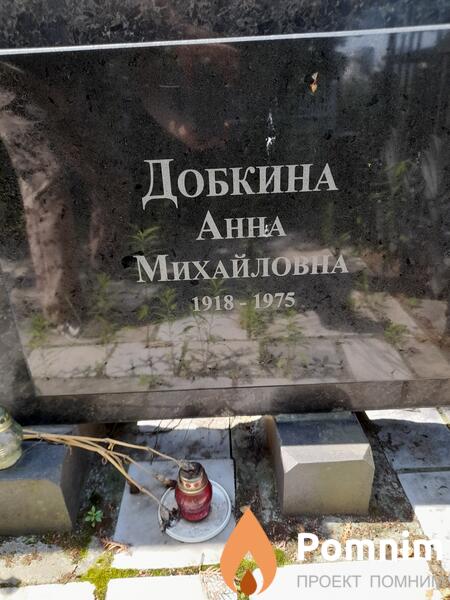 Добкина Анна Михайловна