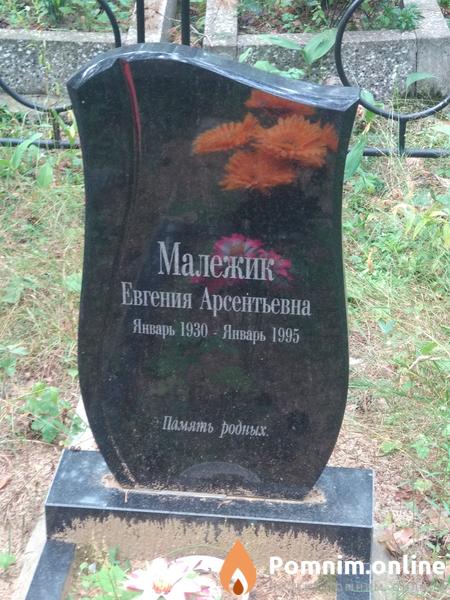 Малежик Борис Степанович