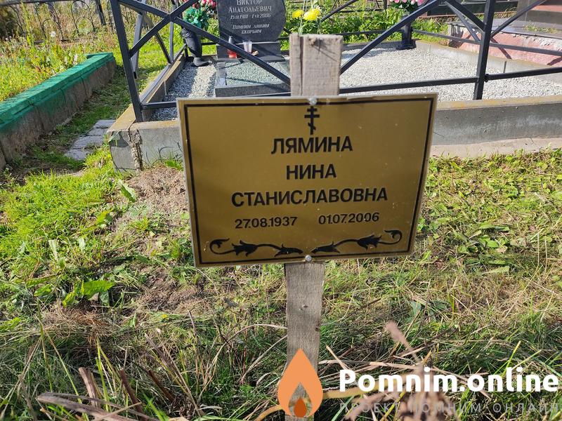 Лямина Нина Станиславовна