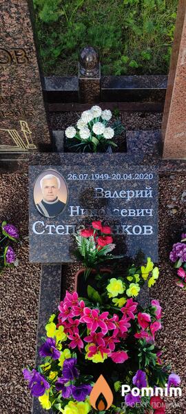 Степаненков Валерий Николаевич