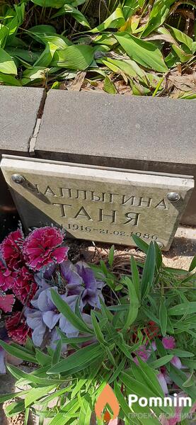 Цаплыгина Таня