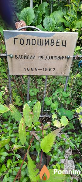 Голошивец Василий Фёдорович