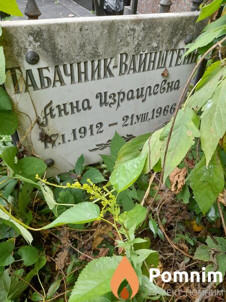 Табачник Анна Израилевна