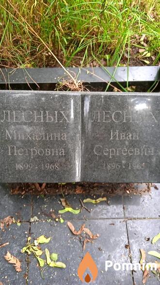 Лесных Иван Сергеевич