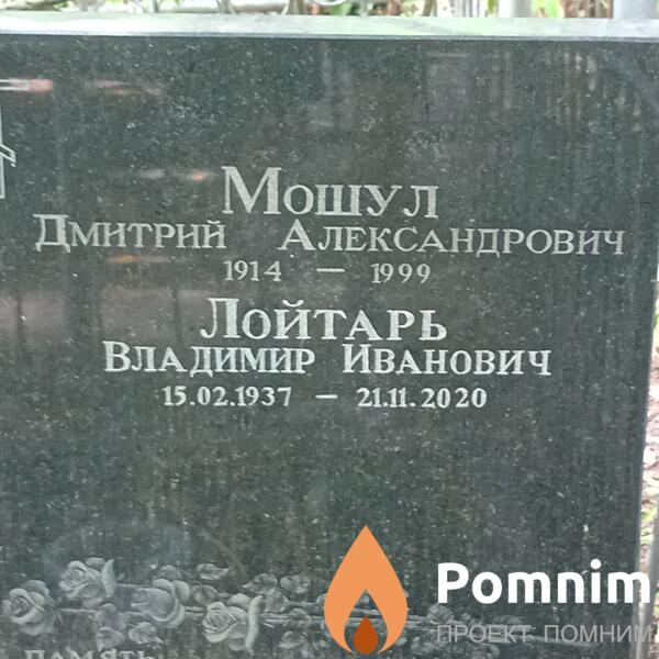 Мошул Дмитрий Александрович