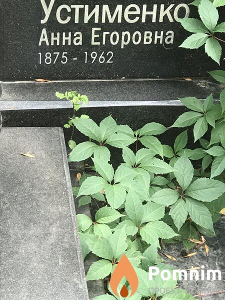 Устименко Анна Егоровна