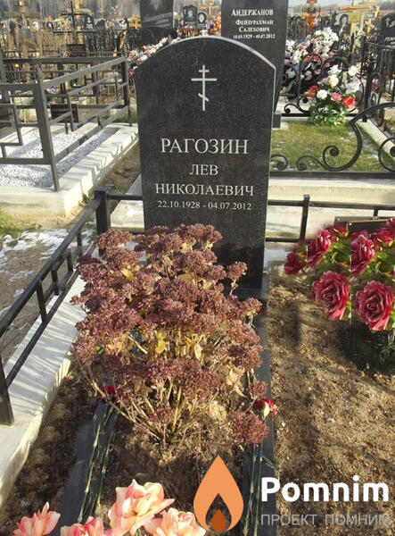Рагозин Лев Николаевич